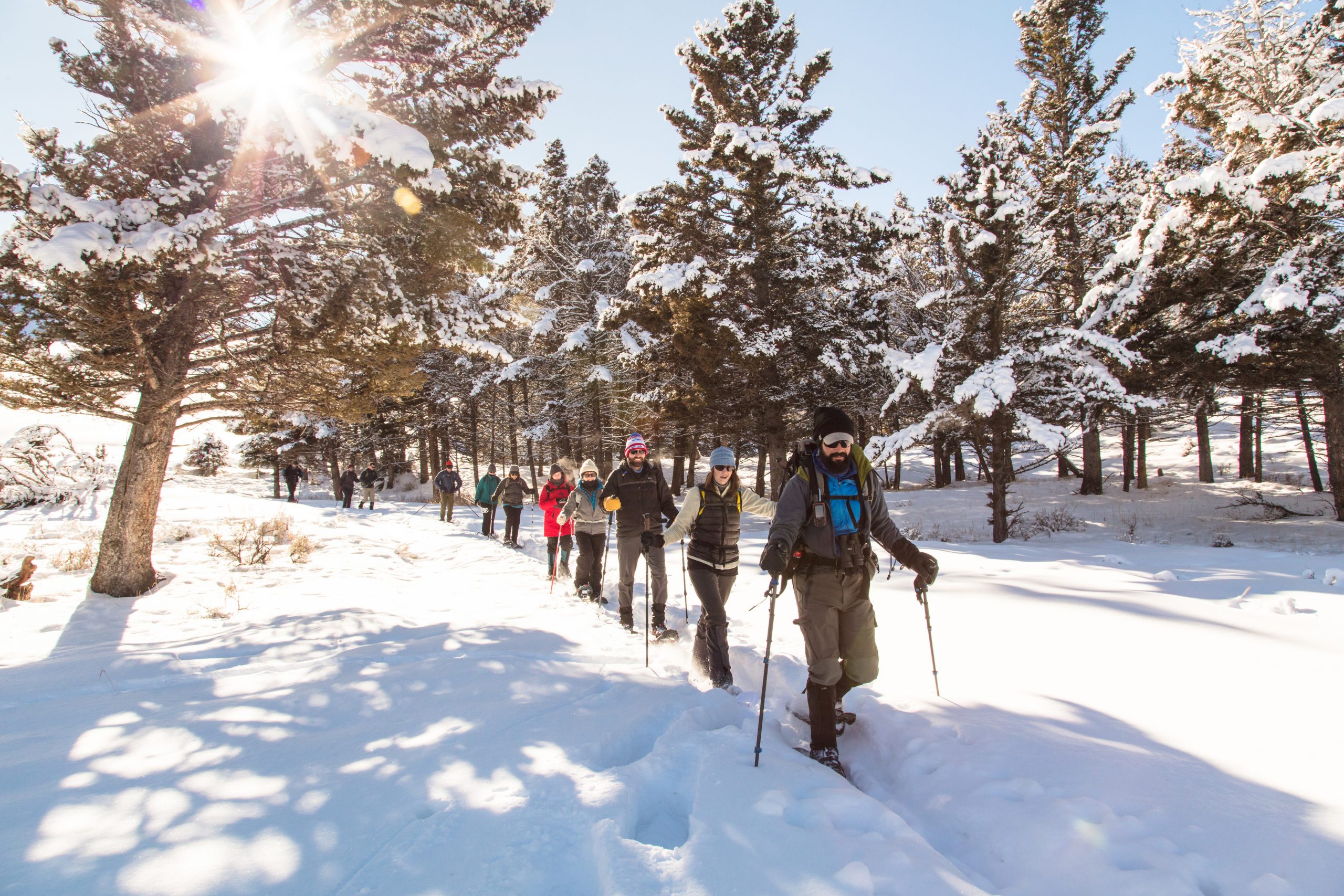 Winter in Yellowstone