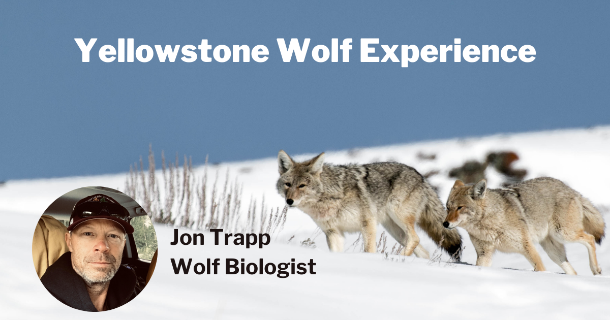 Jon Trapp Wolf Biologist